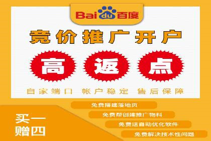关键词竞价排名策略：成功企业的案例分析